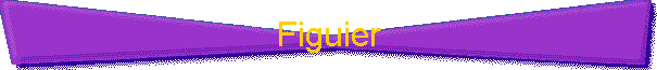 Figuier