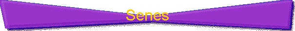 Senes